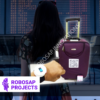 Smart and Secure Travel Bag Using IOT
